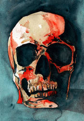 Watercolour Skull