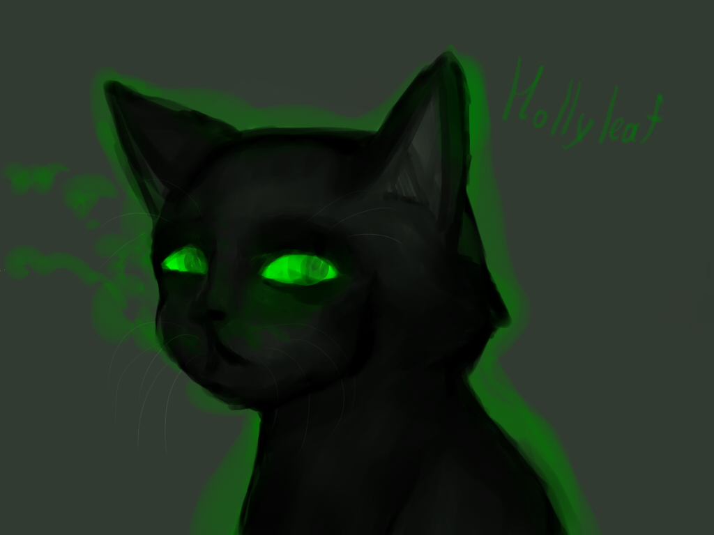 Hollyleaf/Broken heart