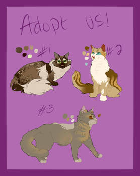 Feline Adopts #13- reduced prices (OPEN)