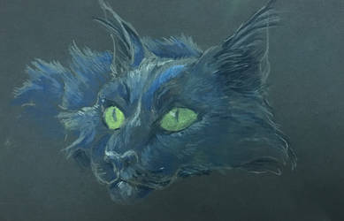 Silver blue by blackbirdcat
