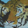 pastelowy tygrys x3