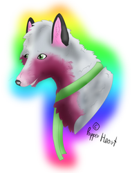 : Rainbow wolf :