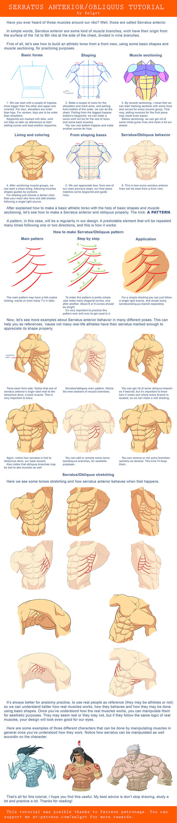 Serratus anterior/Obliquus tutorial