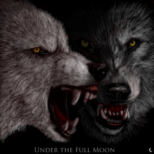 Under the Full Moon Cover