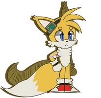 Sonic Riders' Tails