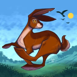 Run rabbit