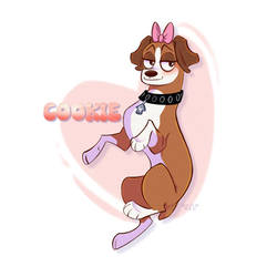 Cookie