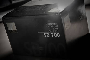 SB-700 Box