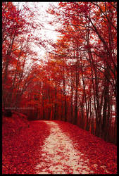 Red fall