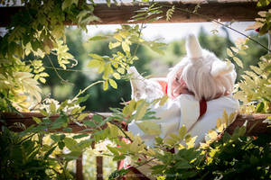 Okami Cosplay - Amaterasu sunlight