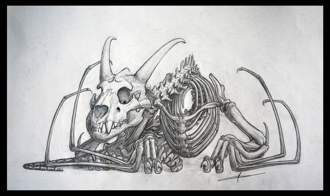 Dragon Skeleton by deviantetienne on DeviantArt