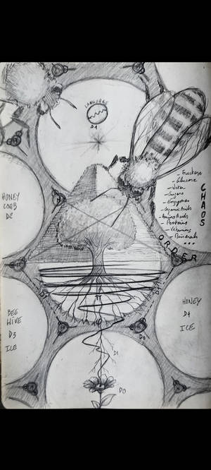 Empty Spaces... Pi and Phi