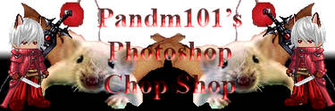 chop shop banner