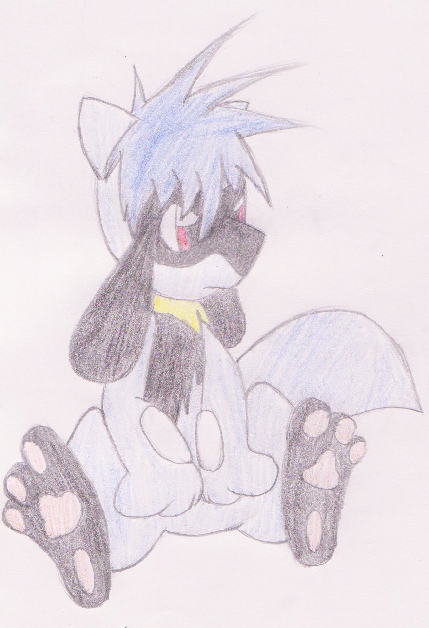 Zander The Riolu