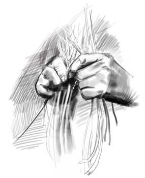 Hands Sketch 001