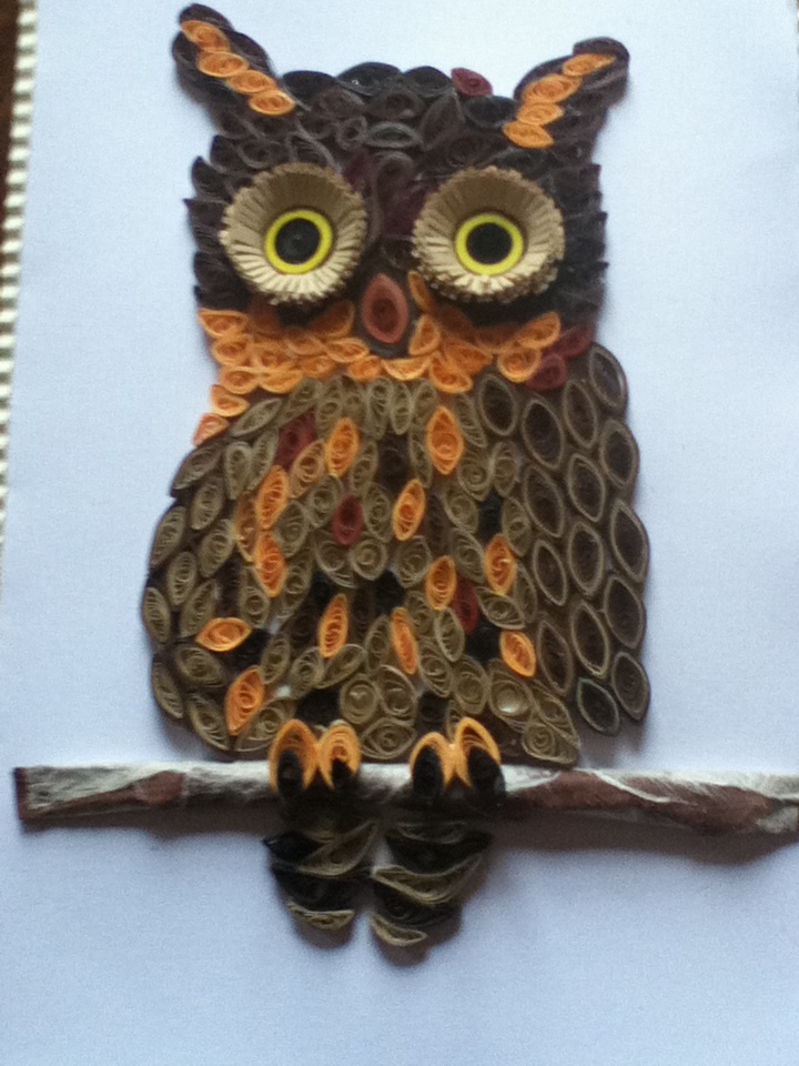 quilled owl