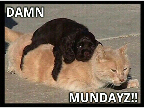 LOL Catz-Damn Mundayz