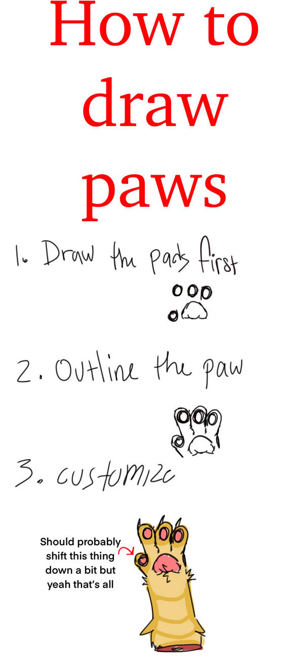 Learning Paws How to draw paws by CheeseAndCrackerss on DeviantArt