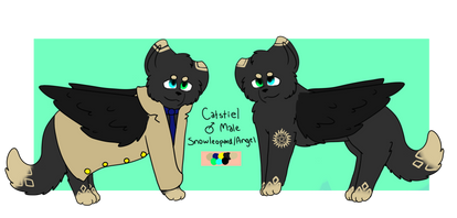 Catstiel Ref 2017