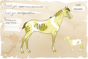 ESK0004 Import -- CLOSED