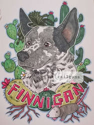 Finnigan [Pet Portrait]