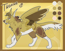 Thorne Reference 2025