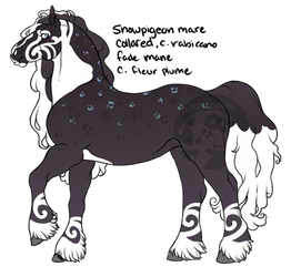 2026 Snowpigeon Personal Import