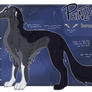 Phinza Reference 2026