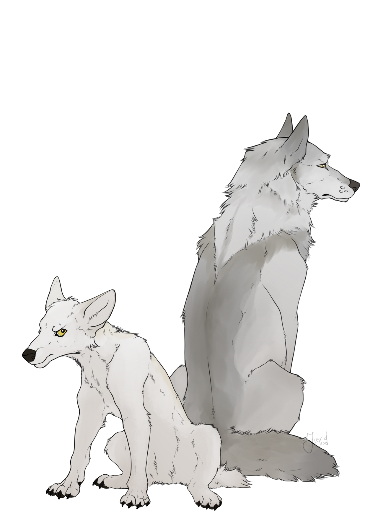 White cub