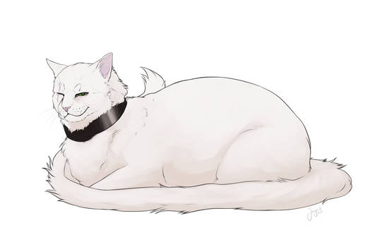 A loaf of cat