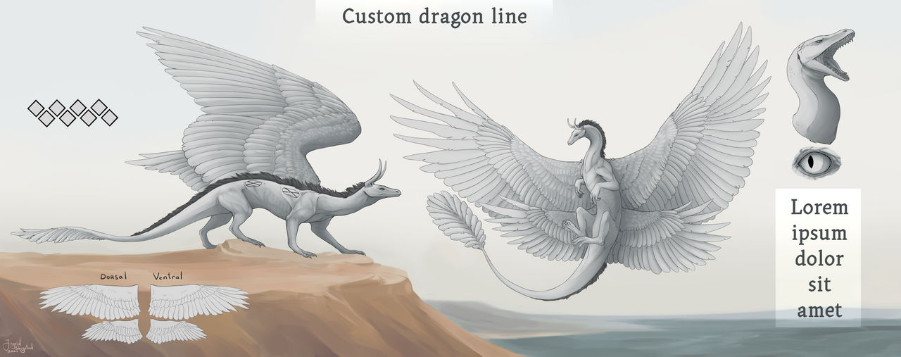 Custom dragon line