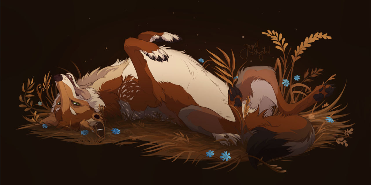 Rolling Yote