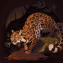 Tilcayo tiger cat