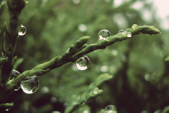 Droplets