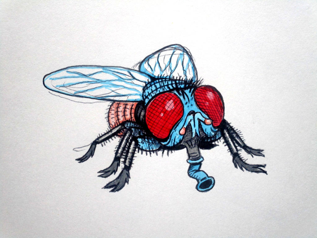 Deviantart Compostfly Fly by Purple-Goop on DeviantArt