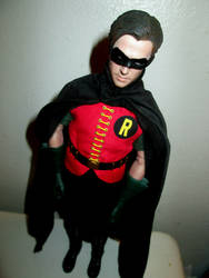 My Customized Robin