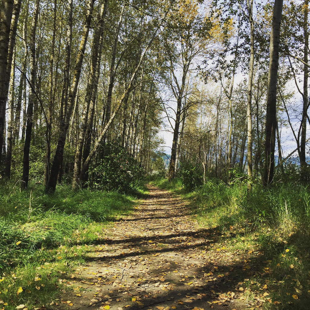 Trail Walk