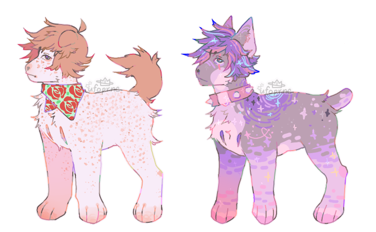 1/2 open!!! |ADOPTABLES