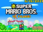 New Super Mario Bros. 15th Anniversary