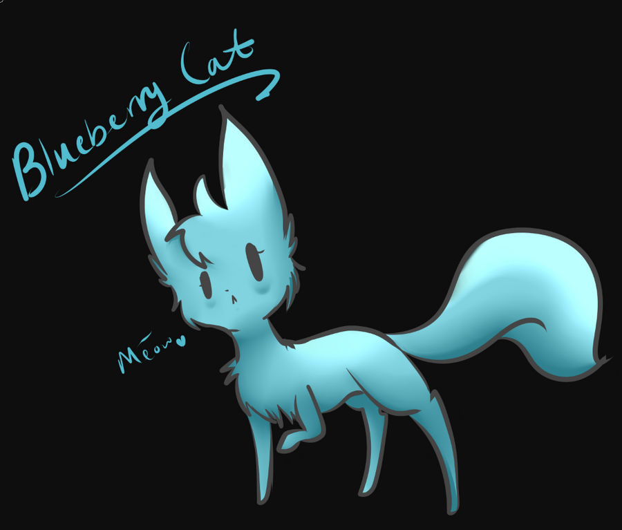 Blue Raspberry Cat Blueberrycat by ExplodingSoap on DeviantArt