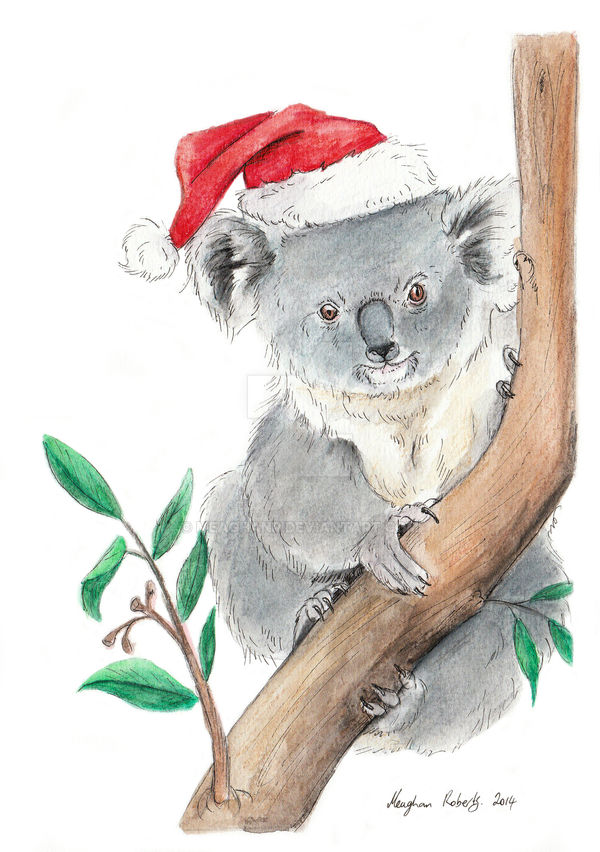 Koala Claus