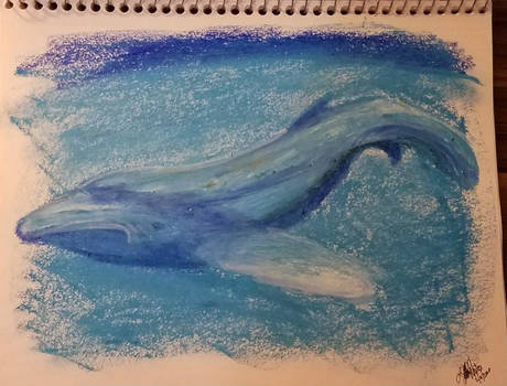 Oceanic Whale