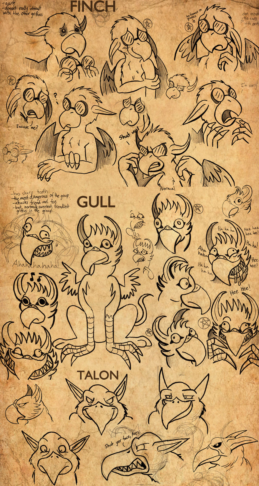 Finch Talons Char Sketches-Finch Gull Talon by Turquoisephoenix on DeviantArt
