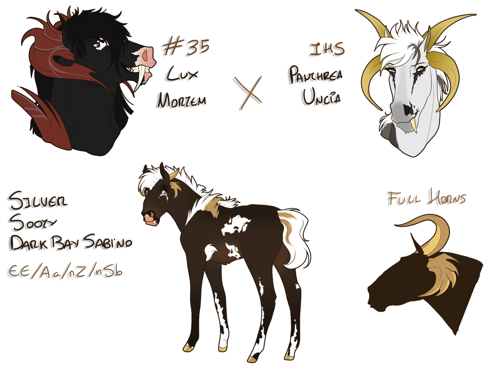 EB Colt for Fargonon