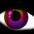 eye_03