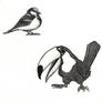 Housefinch and Toucan
