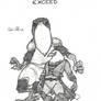 Exceed 41