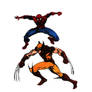 Spider-Man Versus Wolverine color