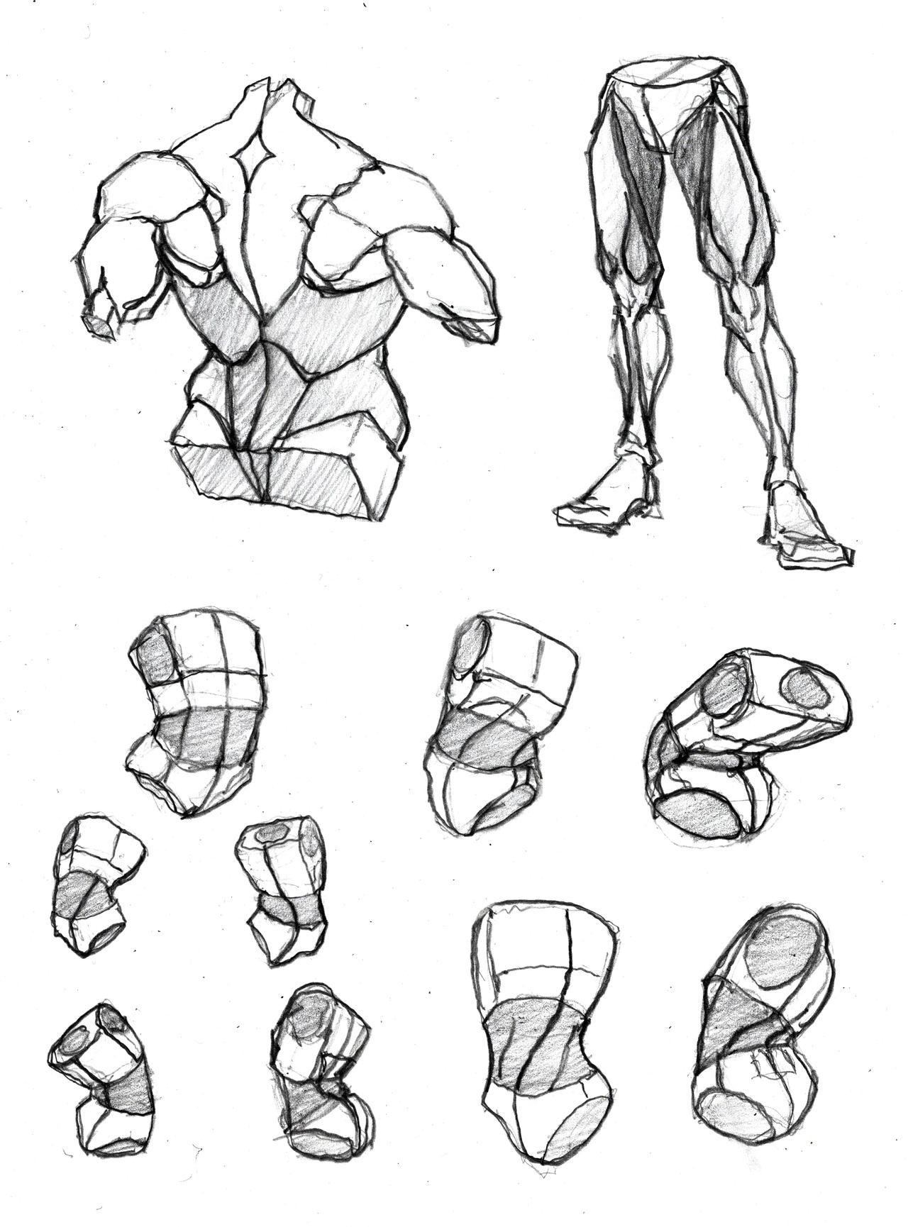 86 Reference Reference 76 by Larkimy on DeviantArt