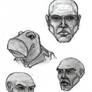 Reference 141